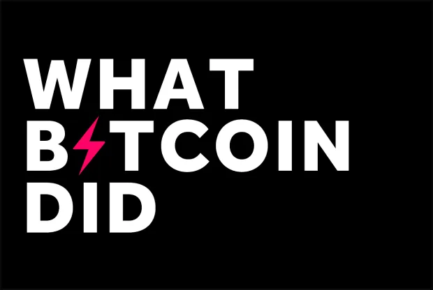 What Bitcoin Did